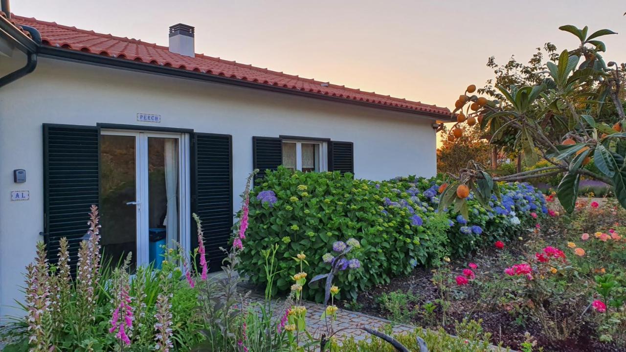 Coja Mountain Perch Villa Vinho  Ngoại thất bức ảnh