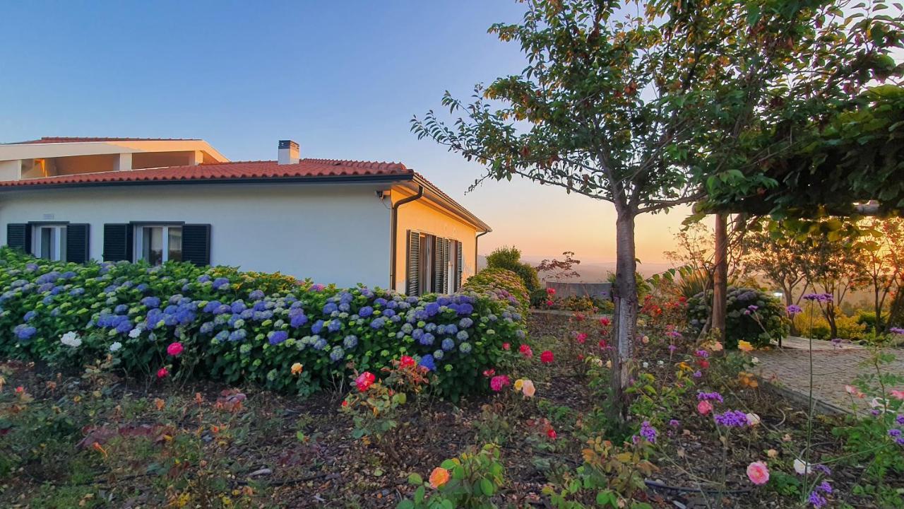 Coja Mountain Perch Villa Vinho  Ngoại thất bức ảnh