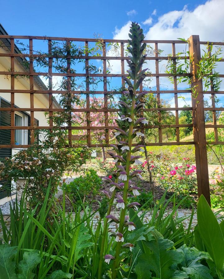 Coja Mountain Perch Villa Vinho  Ngoại thất bức ảnh